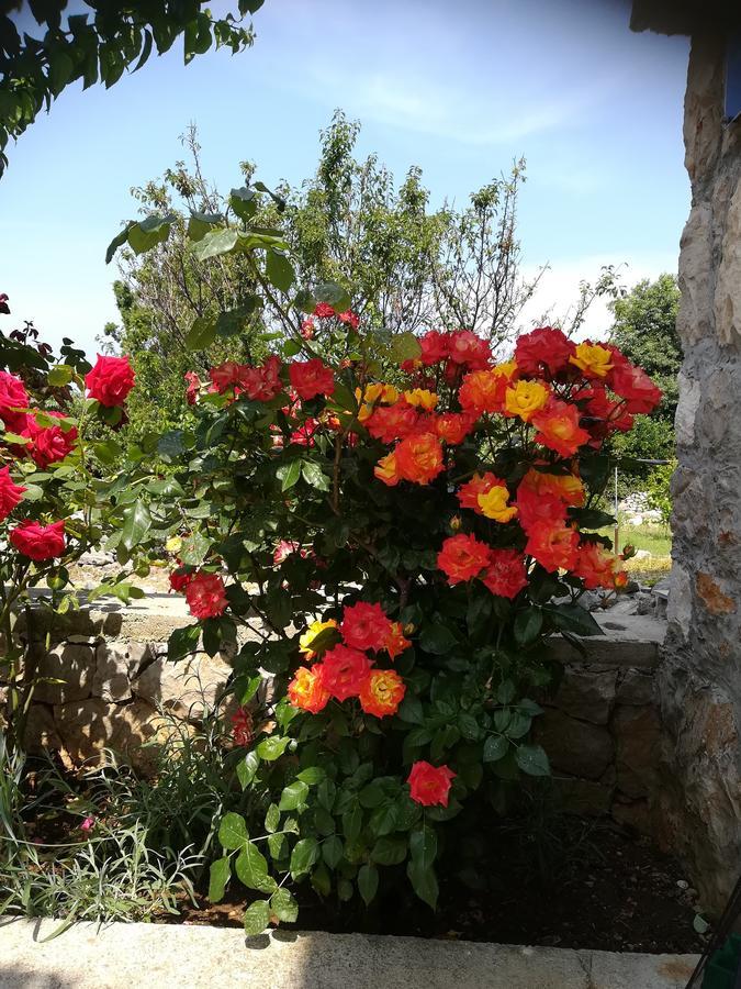 Apartment Neno - Terrace & Parking Veli Lošinj Exterior foto